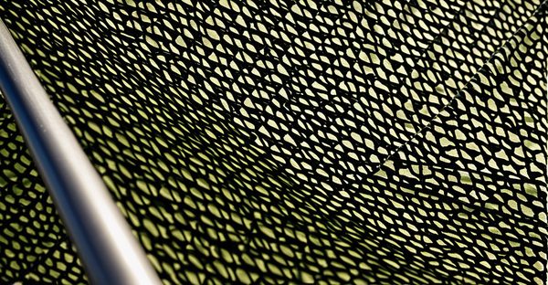 Découvrez les voiles d'ombrage camouflage pour un style unique