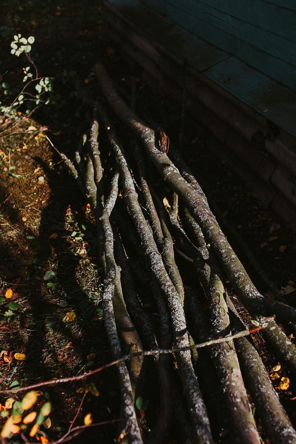 Trouver le broyeur de branches et végétaux parfait : nos conseils